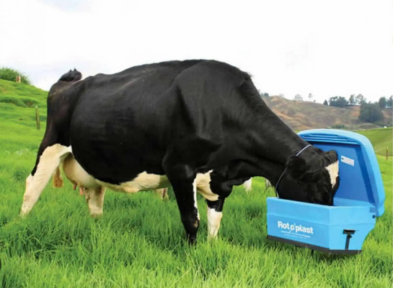 Saladero Inteligente - Imagen 2